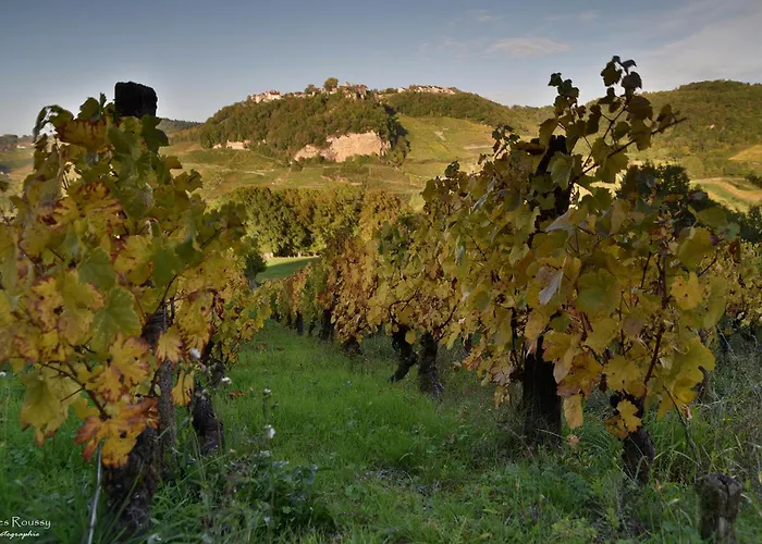 Gite Le Douglas, Vignoble Et Reculees Du Jura - Avec Sauna
