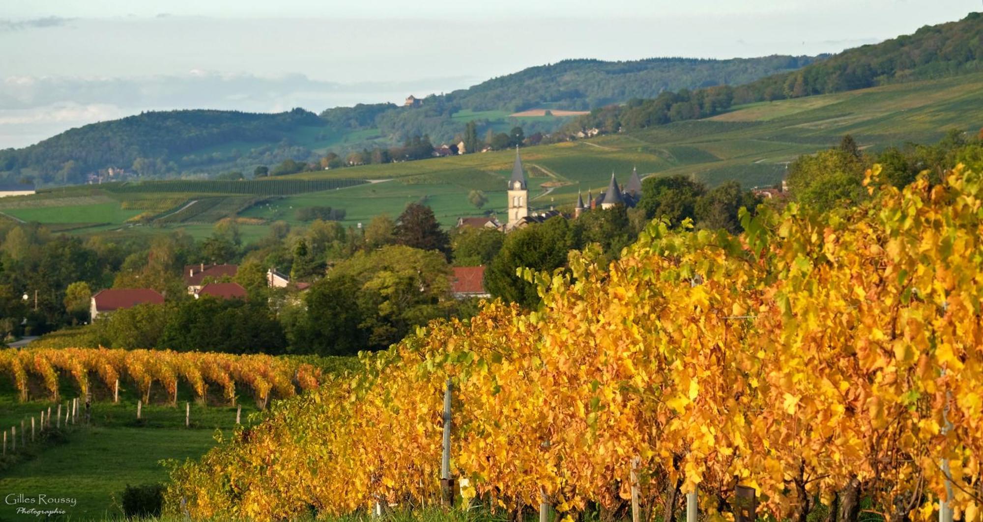 Ferienhaus Le Douglas, Vignoble Et Reculees Du Jura - Avec Sauna *